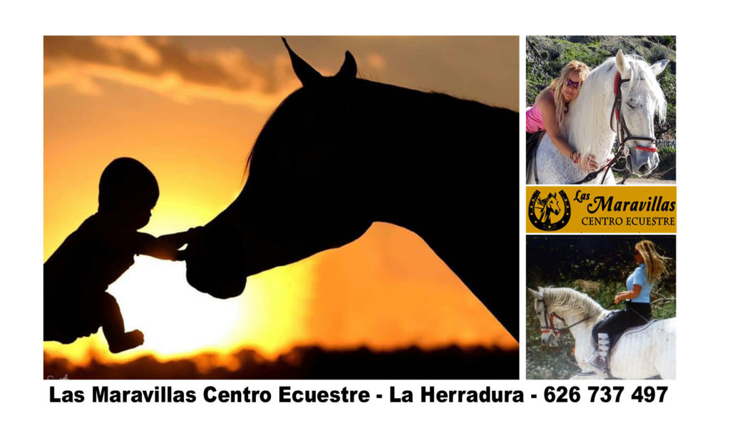 Las Maravillas Centro Ecuestre