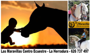 Las Maravillas Centro Ecuestre